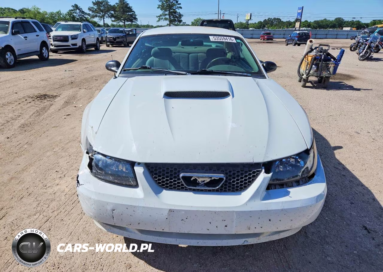 2004 Ford Mustang VIN:1FAFP40654F174107 - 5