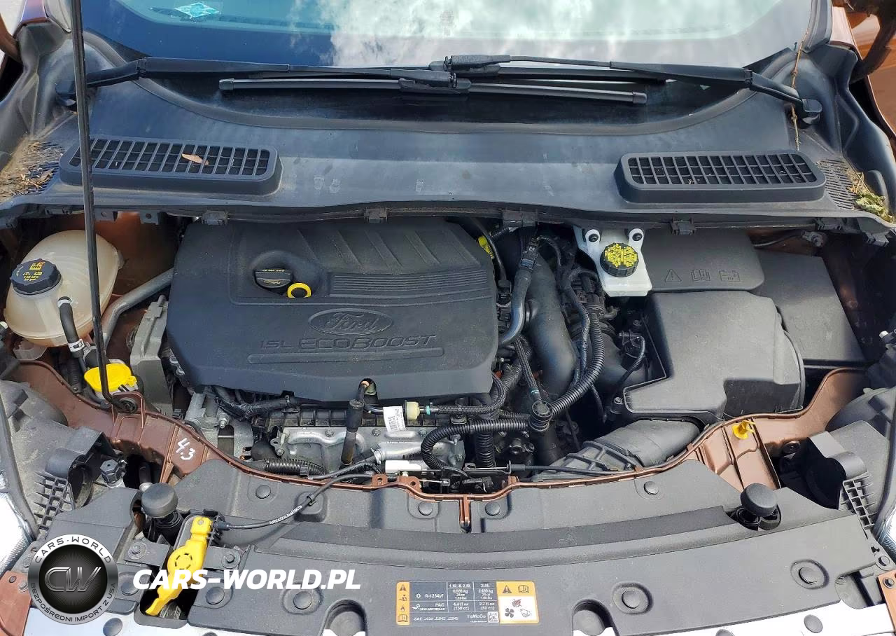 2017 Ford Escape Se VIN:1FMCU9GD1HUB11915 - 12