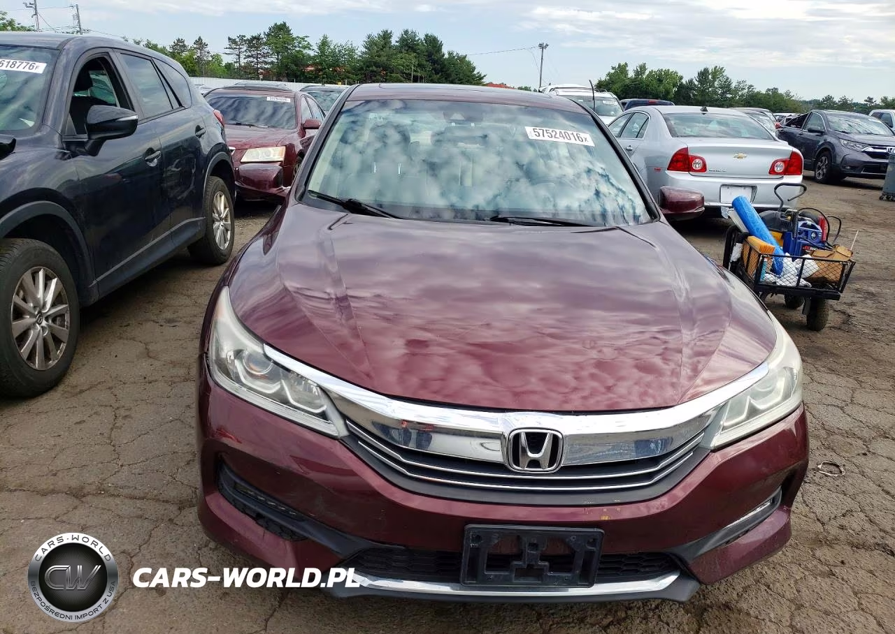 2013 Honda Accord Exl VIN:1HGCR2F82DA020473 - 5