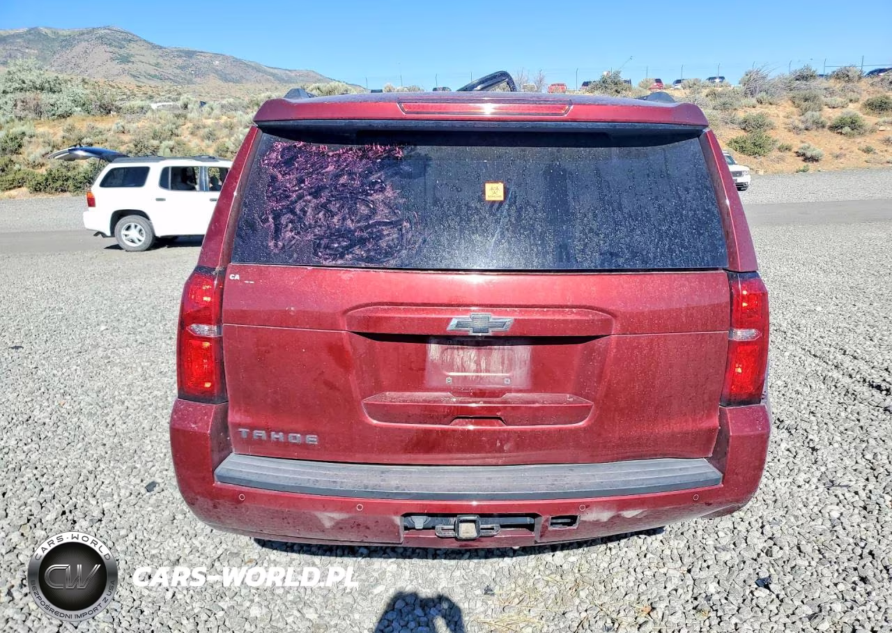 2019 Chevrolet Tahoe K1500 Lt VIN:1GNSKBKC7KR384497 - 6
