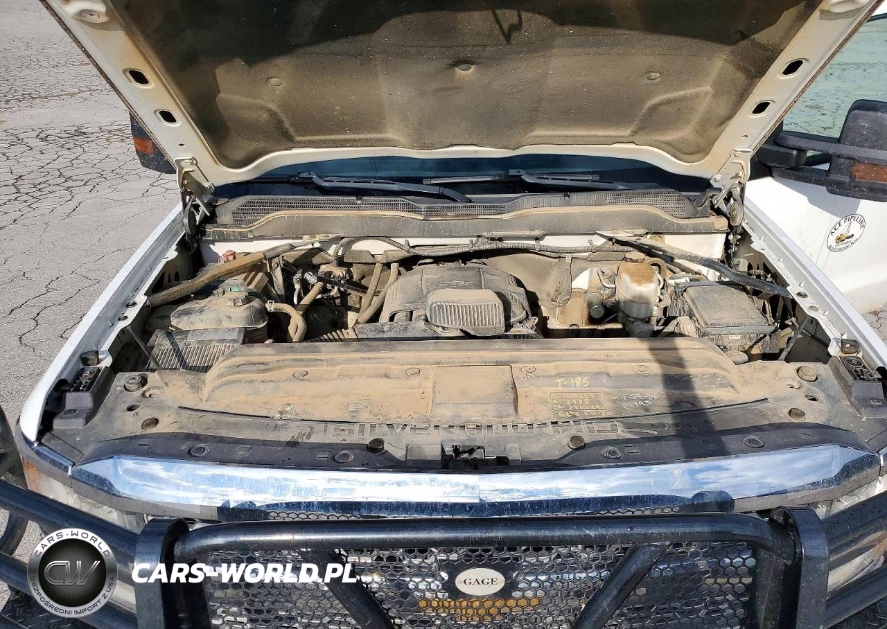 2019 Chevrolet Silverado K2500 Heavy Duty VIN:2GC2KREG7K1238948 - 11