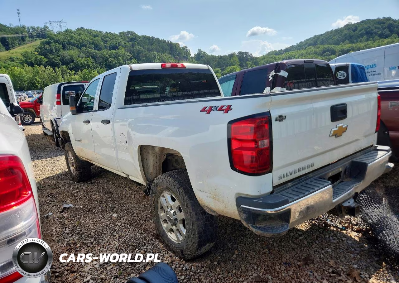 2019 Chevrolet Silverado K2500 Heavy Duty VIN:2GC2KREG7K1238948 - 2