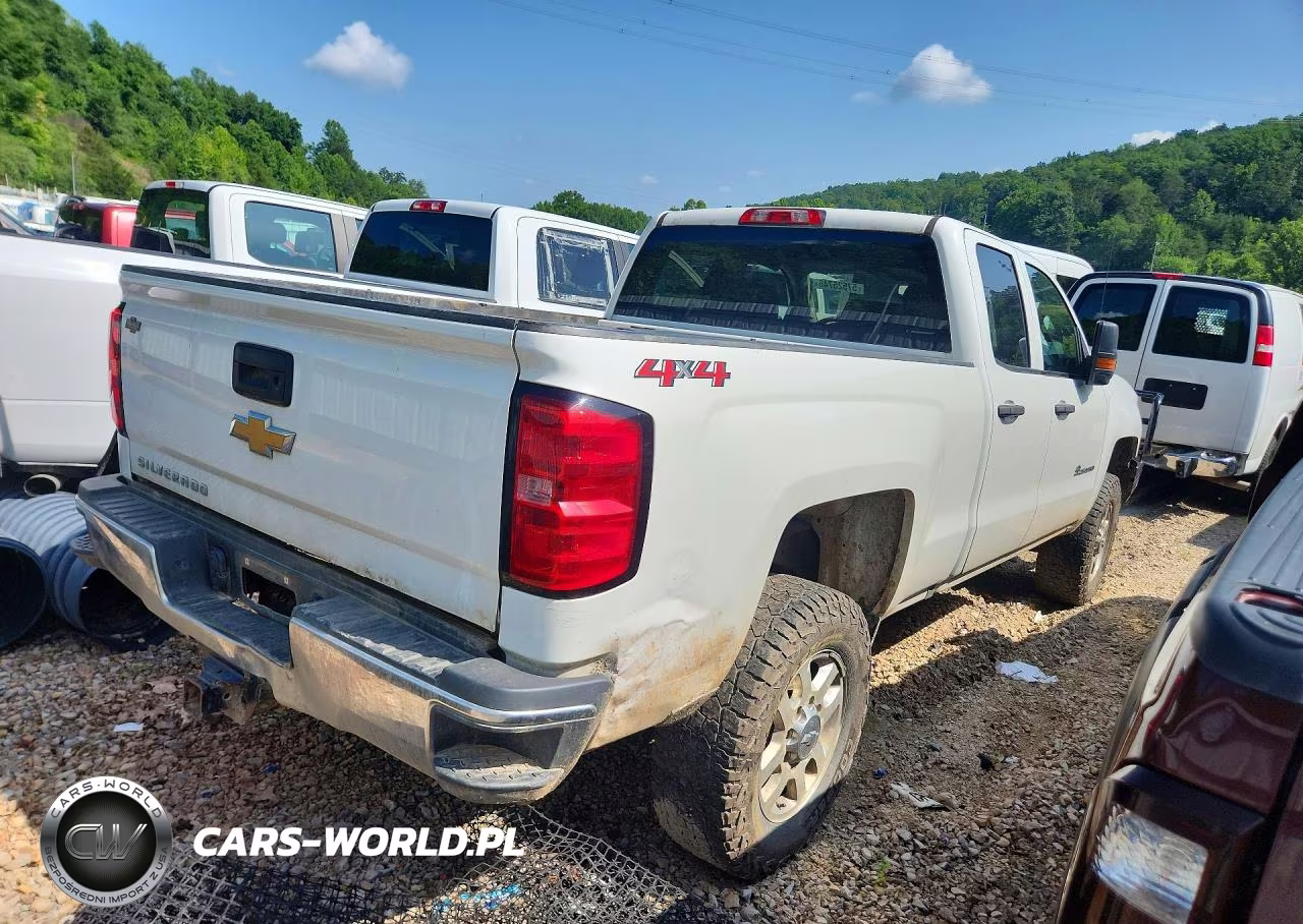 2019 Chevrolet Silverado K2500 Heavy Duty VIN:2GC2KREG7K1238948 - 3