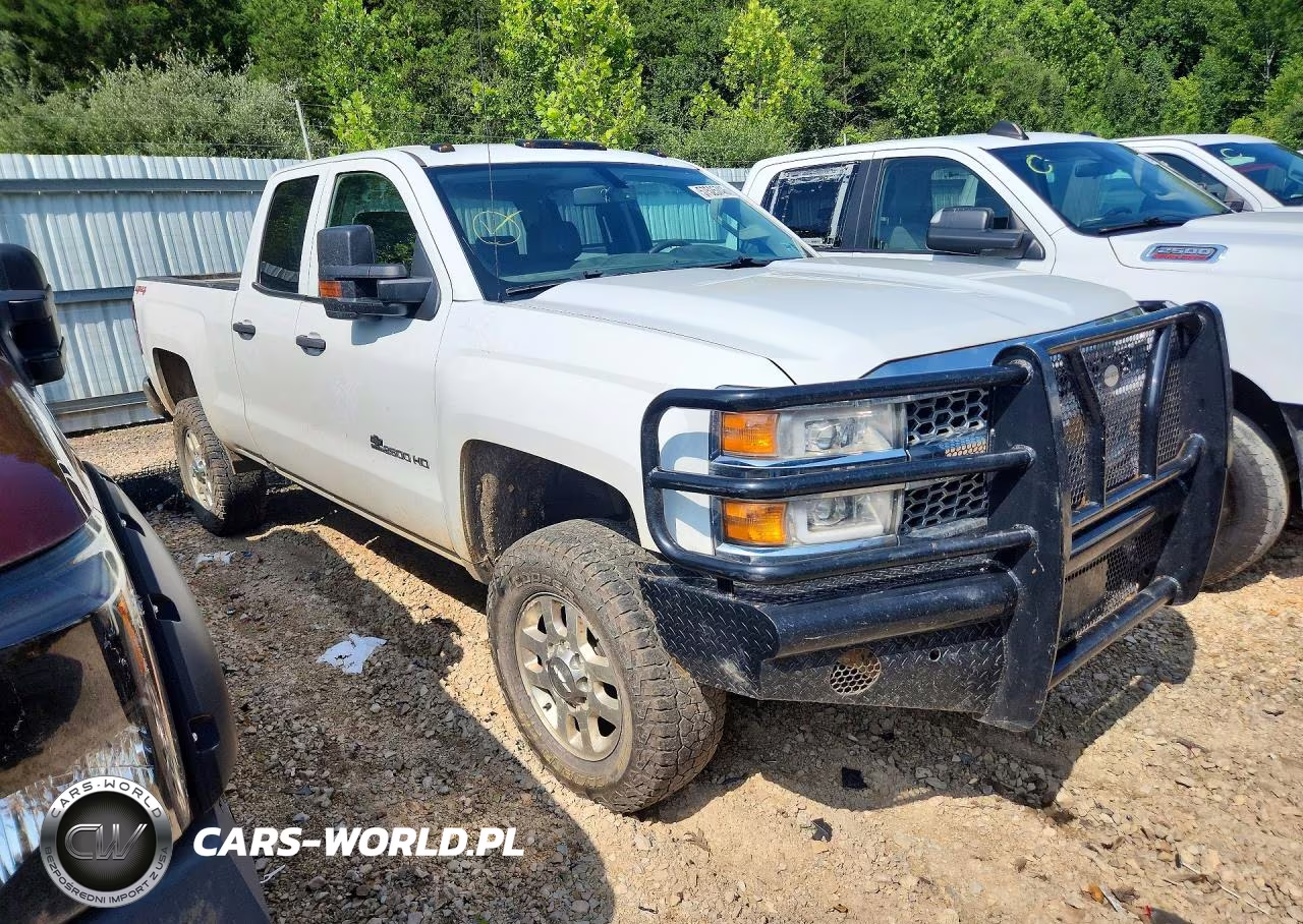 2019 Chevrolet Silverado K2500 Heavy Duty VIN:2GC2KREG7K1238948 - 4
