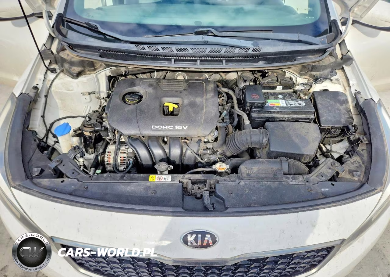 2018 Kia Forte Lx VIN:3KPFK4A76JE193223 - 11