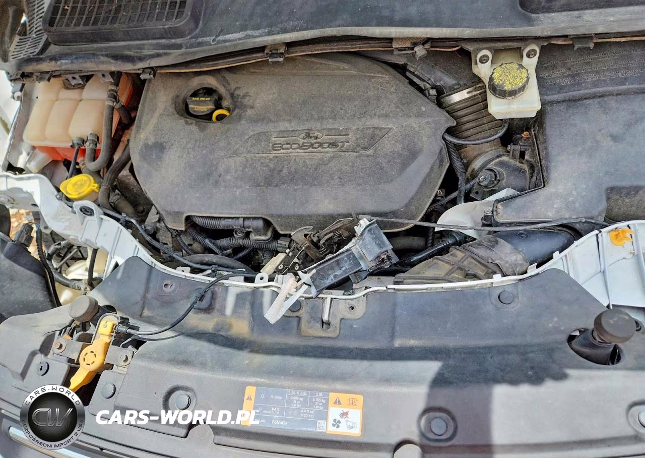2014 Ford Escape Se VIN:1FMCU0GX2EUB75589 - 12