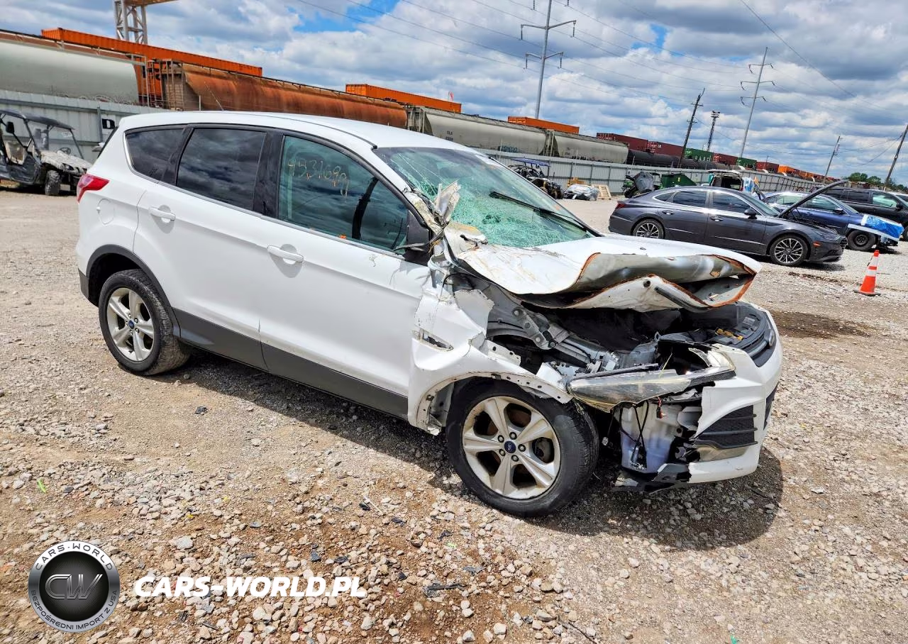 2014 Ford Escape Se VIN:1FMCU0GX2EUB75589 - 4