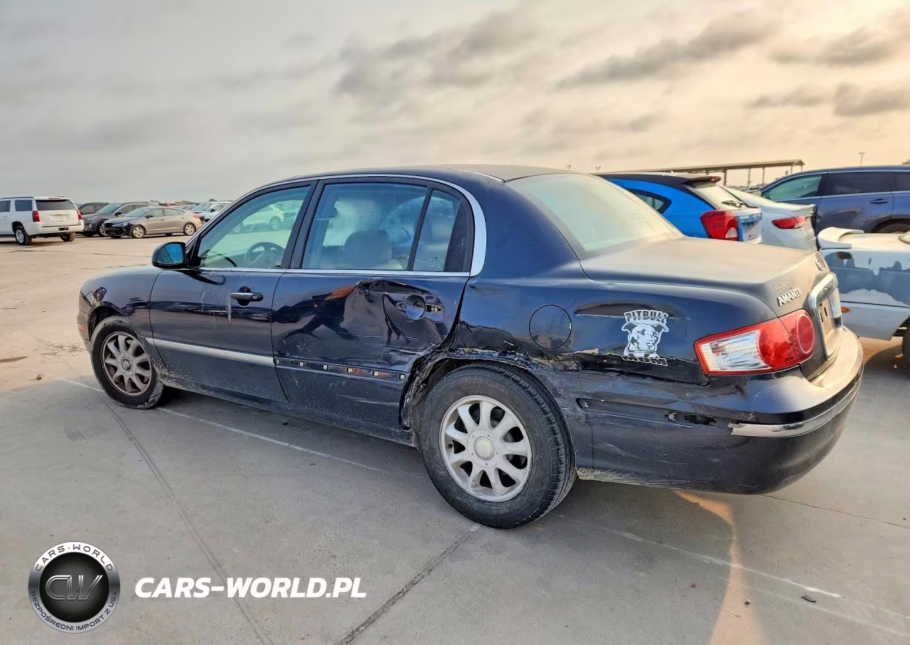 2006 Kia Amanti Base VIN:KNALD124565098930 - 2