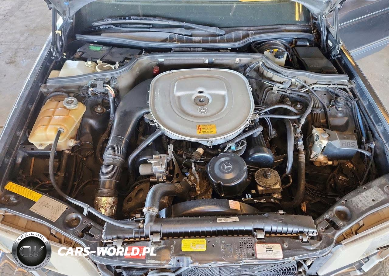 1989 Mercedes-Benz 420 Sel VIN:WDBCA35E2KA481770 - 11