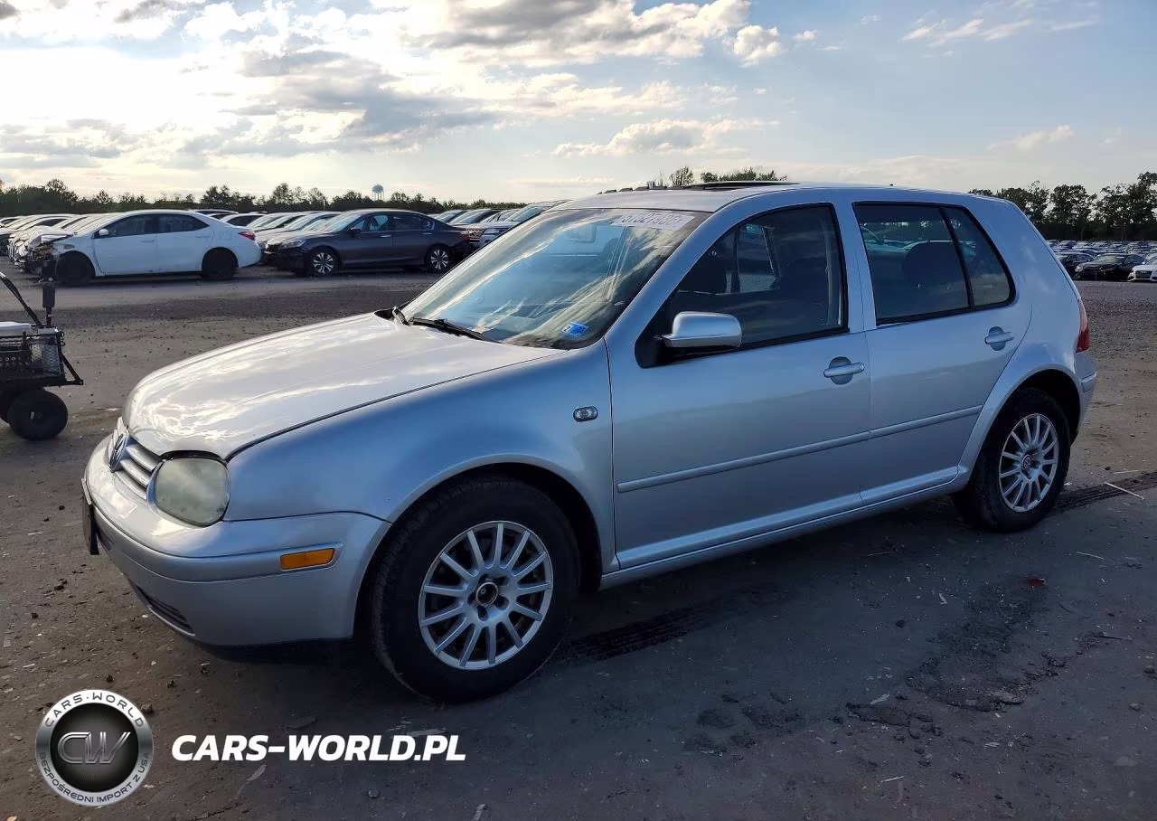 2004 Volkswagen Golf Gls