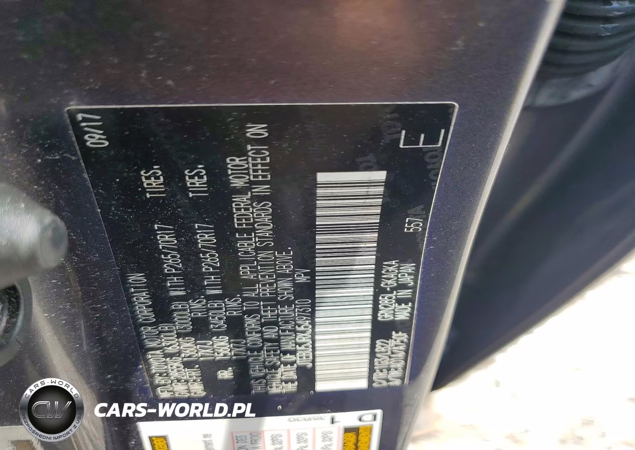 2018 Toyota 4Runner Sr5 Premium VIN:JTEBU5JRXJ5497310 - 12