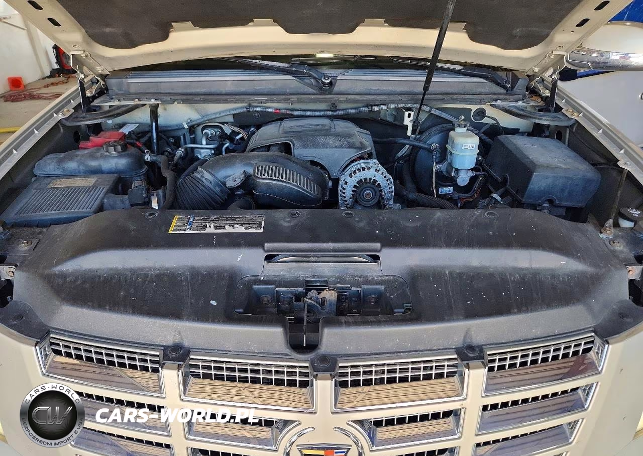2010 Cadillac Escalade VIN:1GYUCAEF9AR146013 - 12
