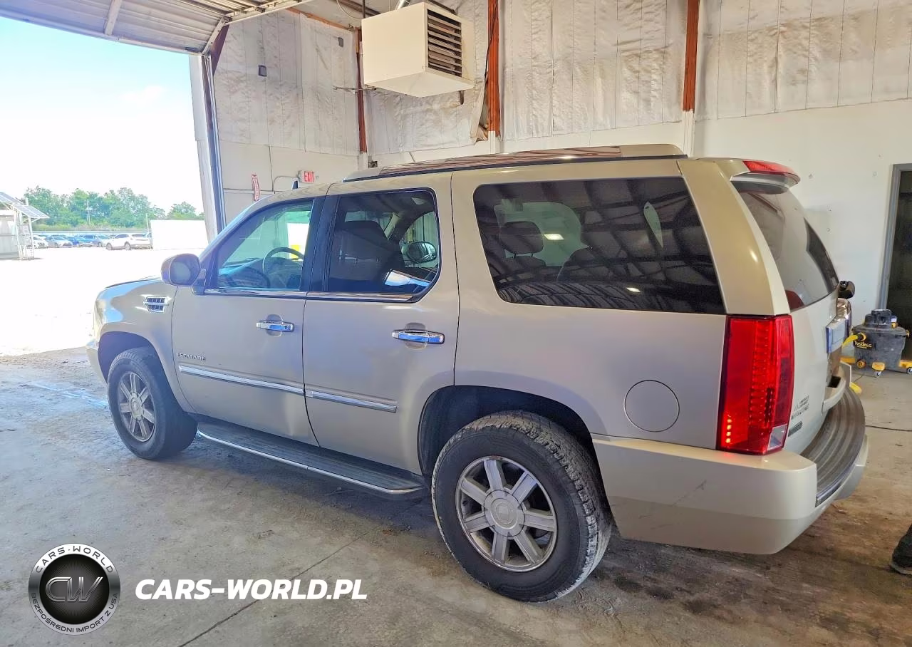 2010 Cadillac Escalade VIN:1GYUCAEF9AR146013 - 2