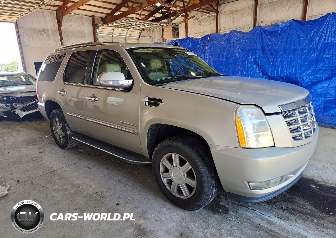 2010 Cadillac Escalade VIN:1GYUCAEF9AR146013 - 4