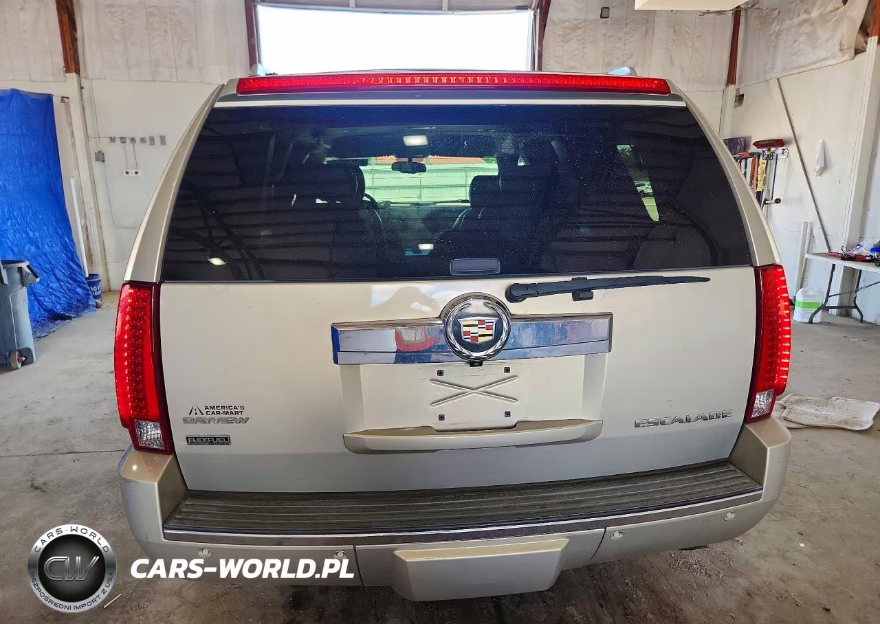 2010 Cadillac Escalade VIN:1GYUCAEF9AR146013 - 6