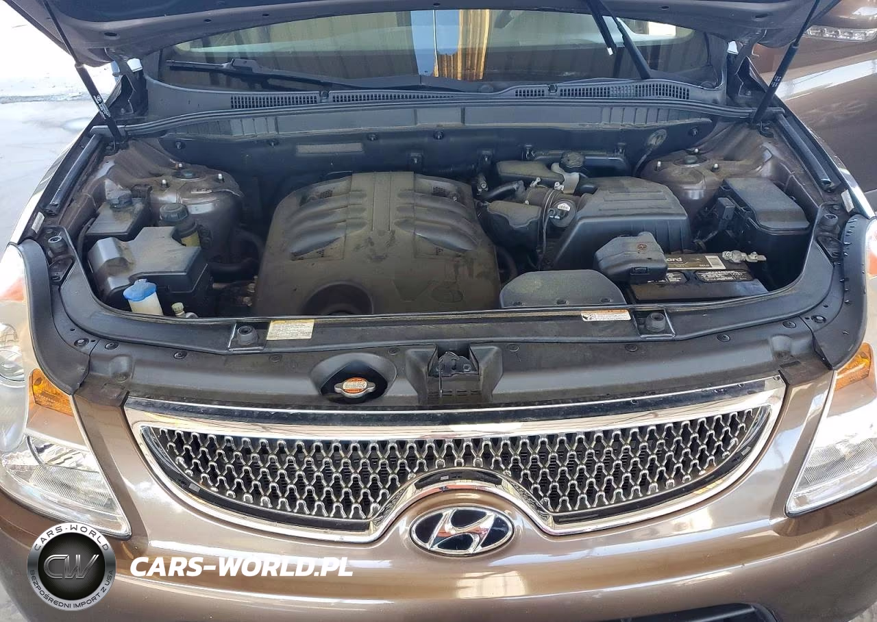 2011 Hyundai Veracruz Limited VIN:KM8NUDCC4BU176564 - 11