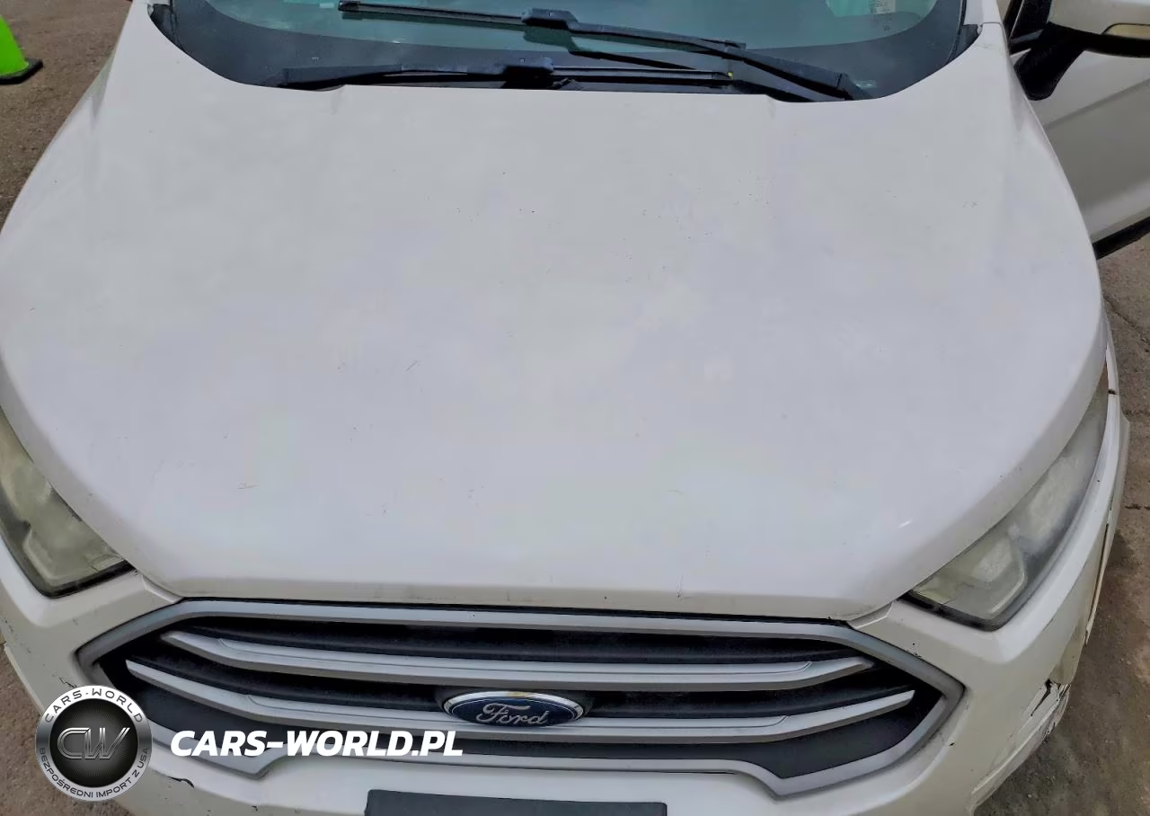 2018 Ford Ecosport Se VIN:MAJ3P1TE8JC219607 - 11