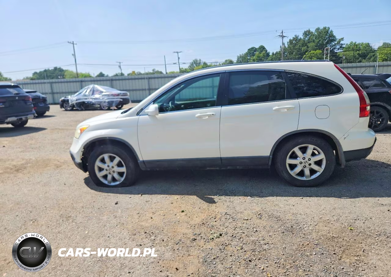 2009 Honda Cr-V Exl VIN:5J6RE38739L034290 - 2