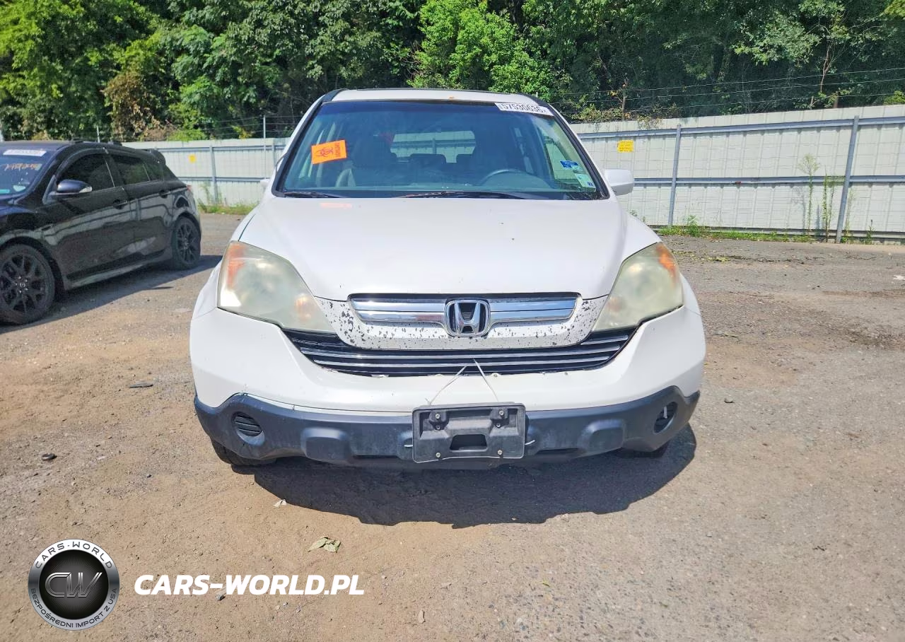 2009 Honda Cr-V Exl VIN:5J6RE38739L034290 - 5