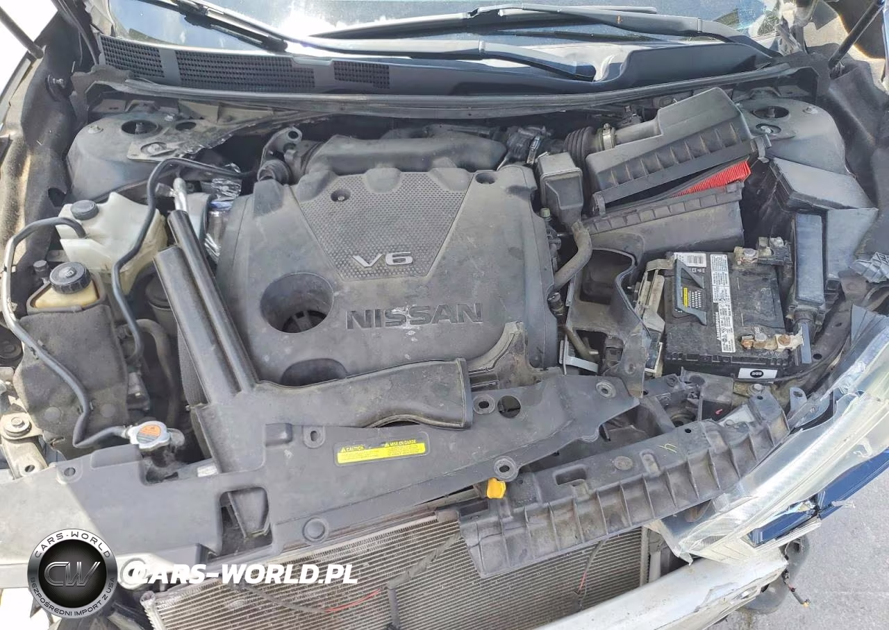 2016 Nissan Maxima Platinum VIN:1N4AA6AP4GC401968 - 11