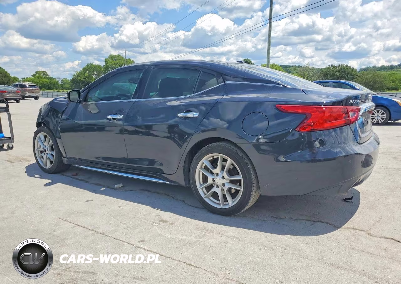 2016 Nissan Maxima Platinum VIN:1N4AA6AP4GC401968 - 2