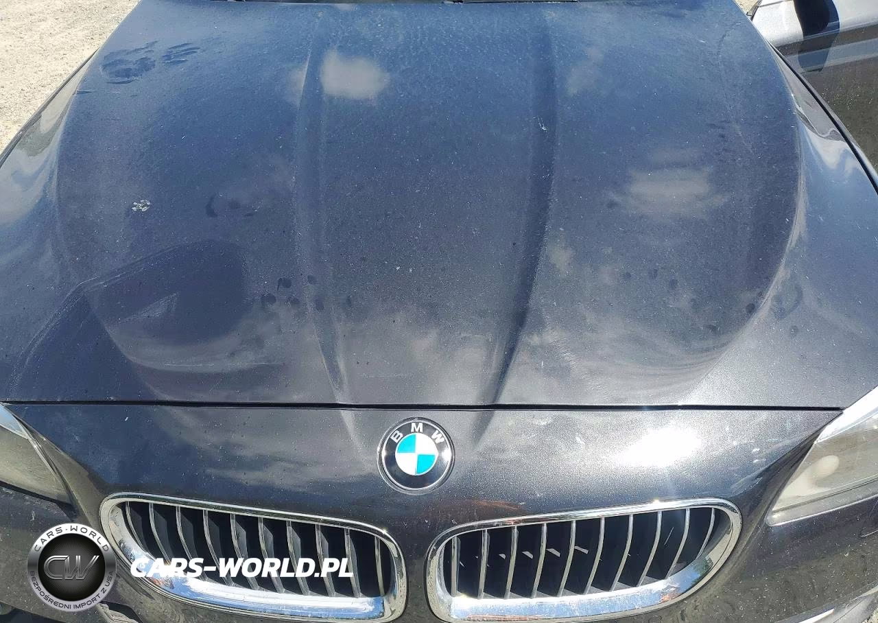 2015 BMW 528 I VIN:WBA5A5C50FD515845 - 11