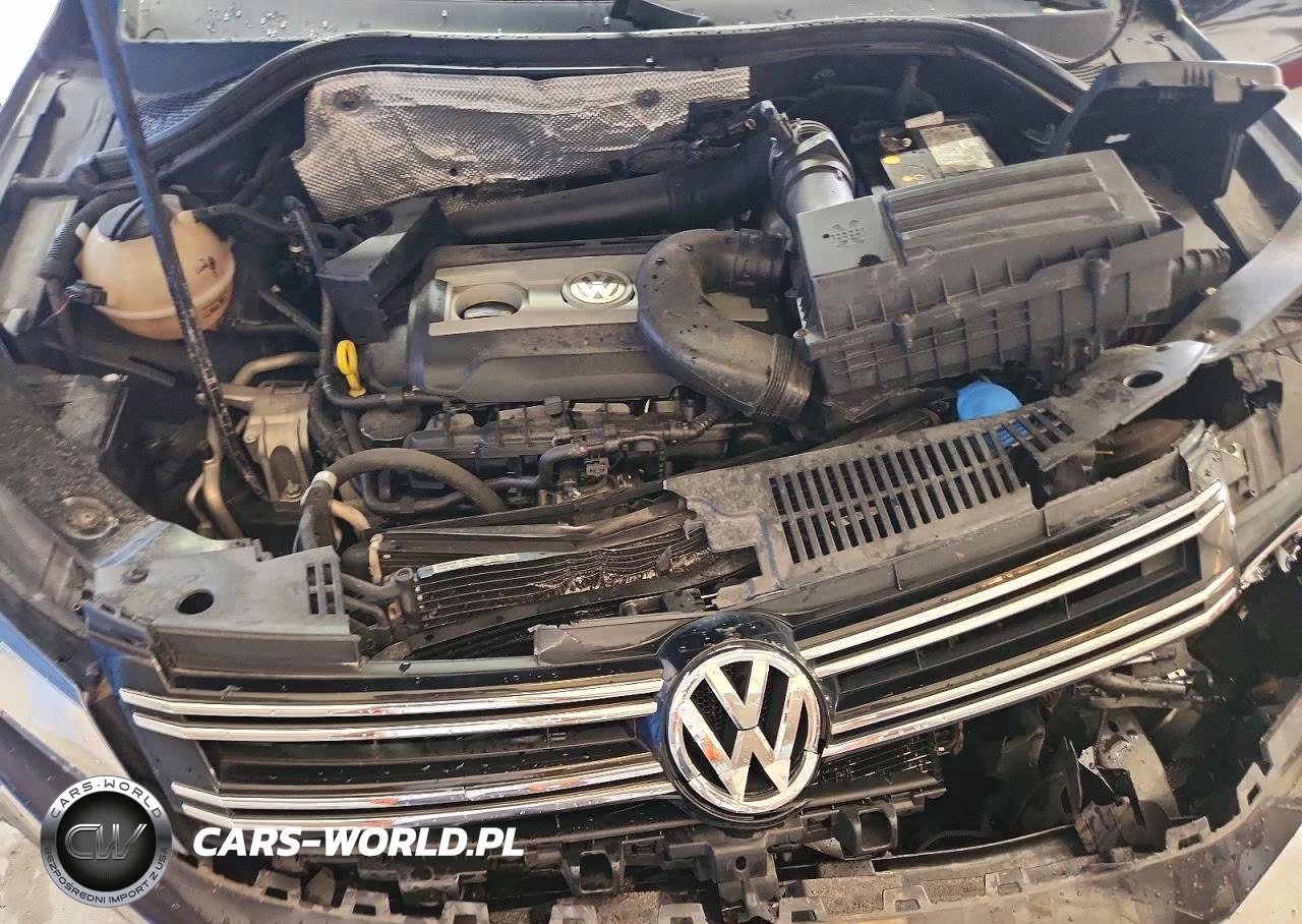 2016 Volkswagen Tiguan S VIN:WVGBV7AX1GW613990 - 12