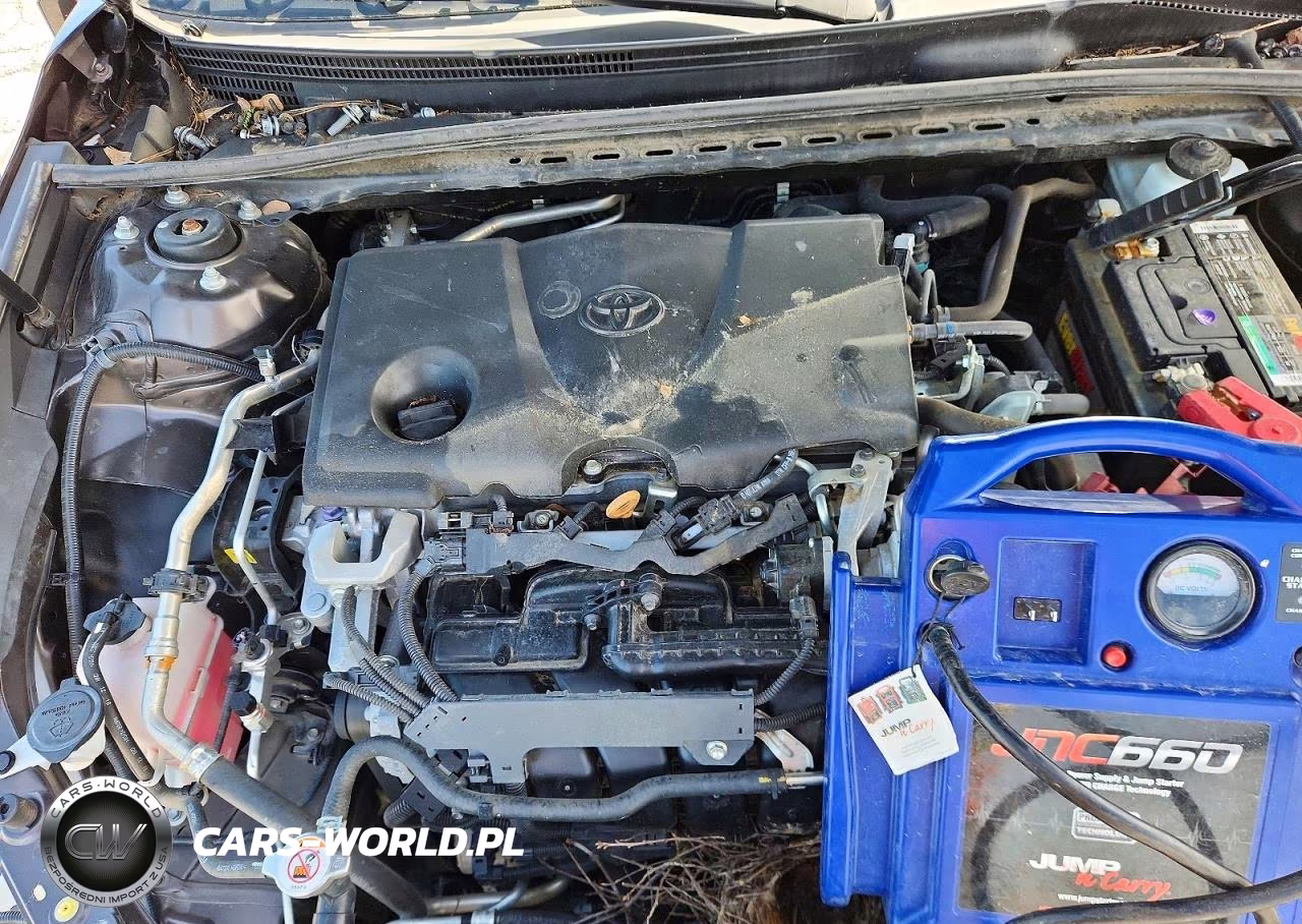 2019 Toyota Camry Le VIN:4T1B11HK3KU852934 - 11
