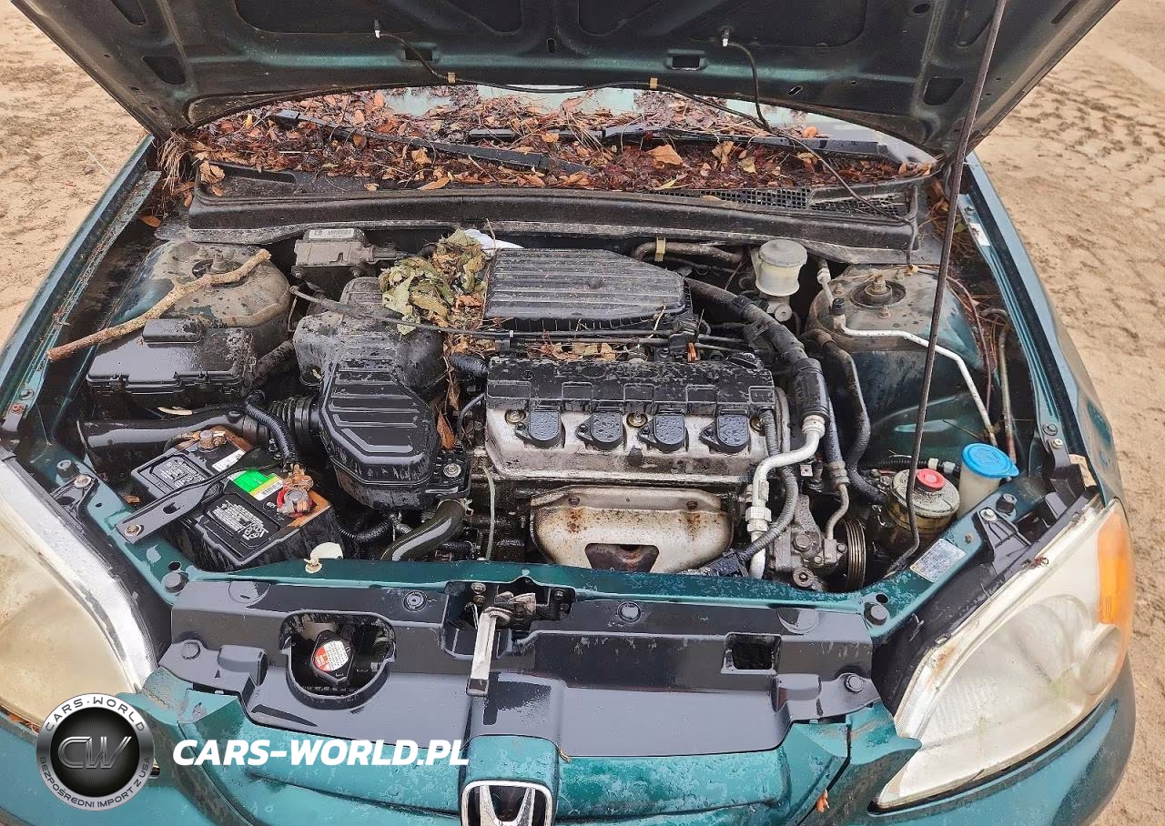 2001 Honda Civic Lx VIN:1HGEM22561L042088 - 11