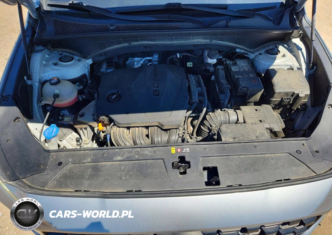 2021 Hyundai Santa Fe Se VIN:5NMS1DAJ8MH356741 - 11