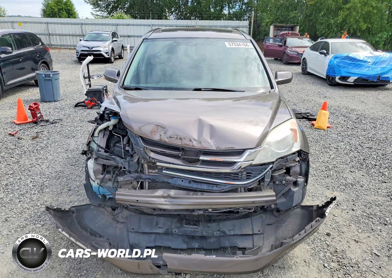2010 Honda Cr-V Exl VIN:5J6RE4H72AL084219 - 5