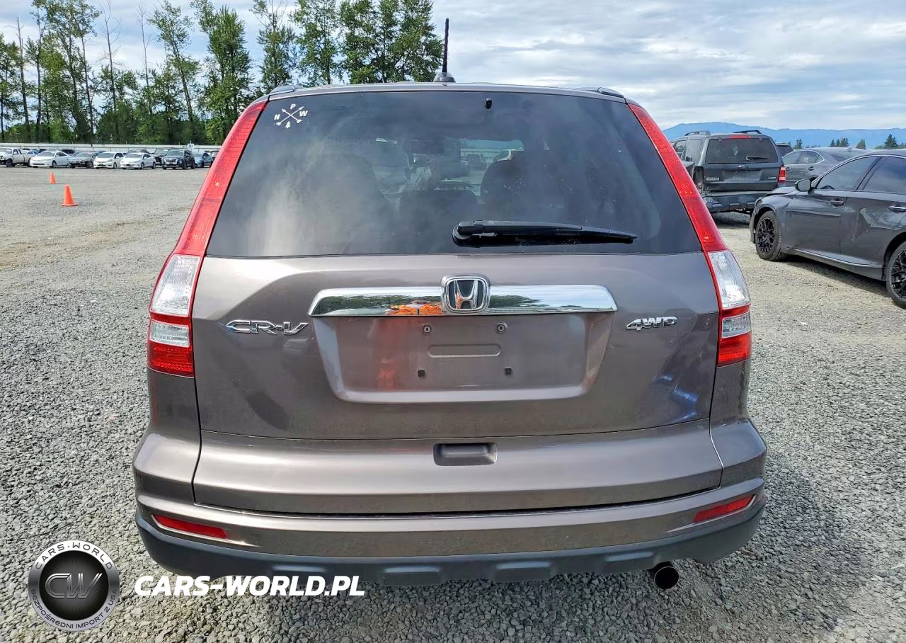 2010 Honda Cr-V Exl VIN:5J6RE4H72AL084219 - 6
