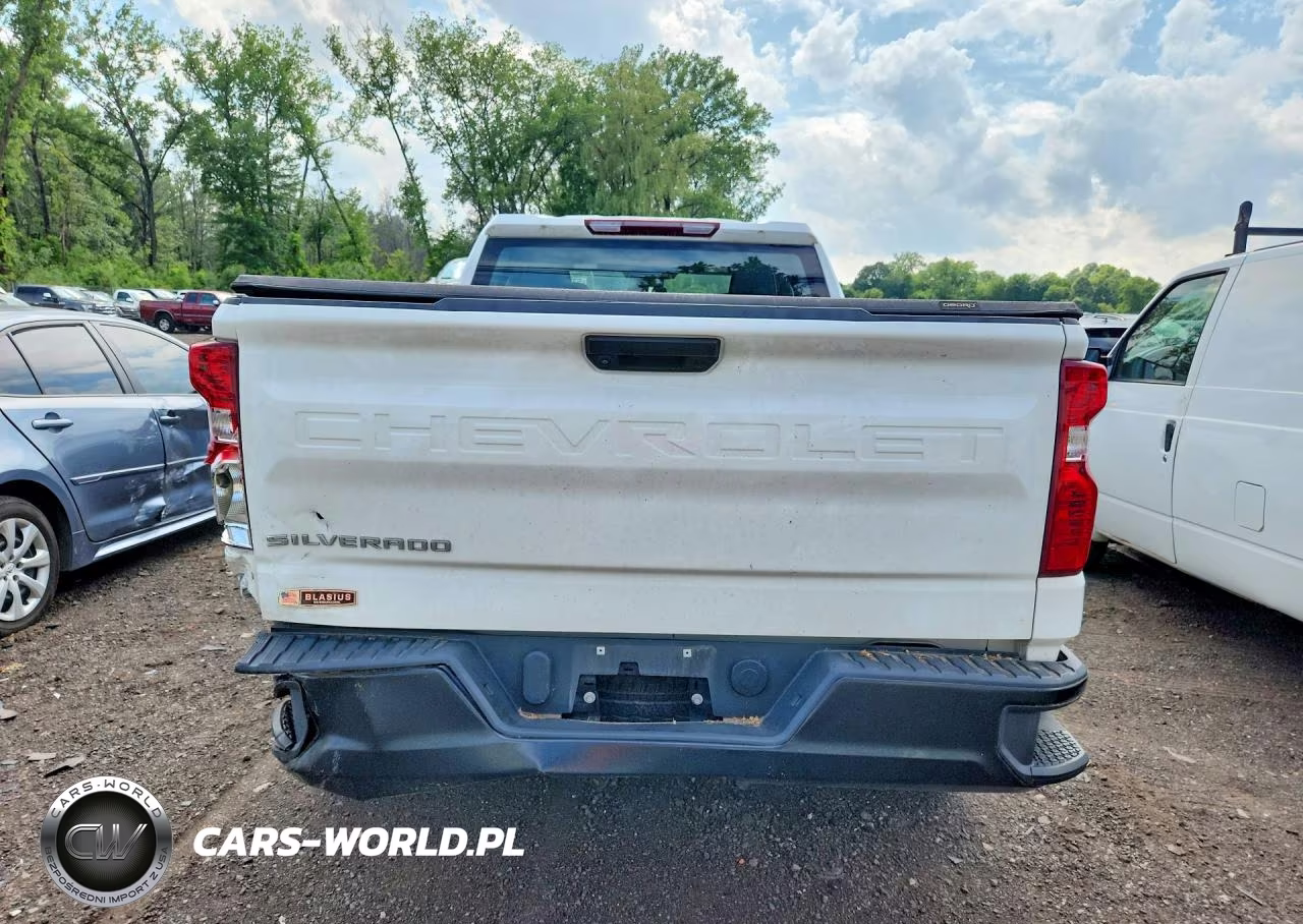 2024 Chevrolet Silverado K1500 VIN:1GCRDAEK8RZ250459 - 6