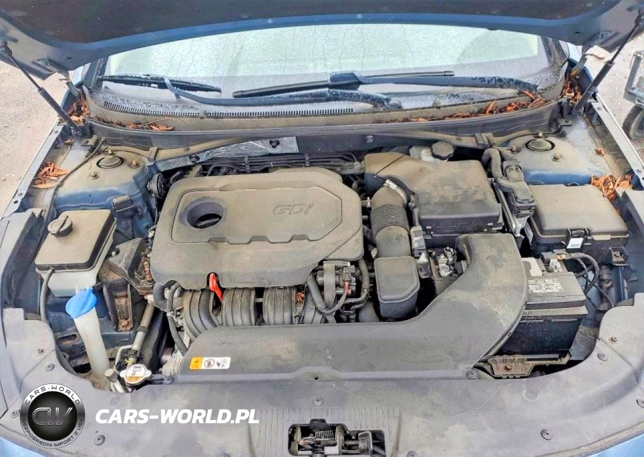 2016 Hyundai Sonata Se VIN:5NPE24AFXGH312270 - 11