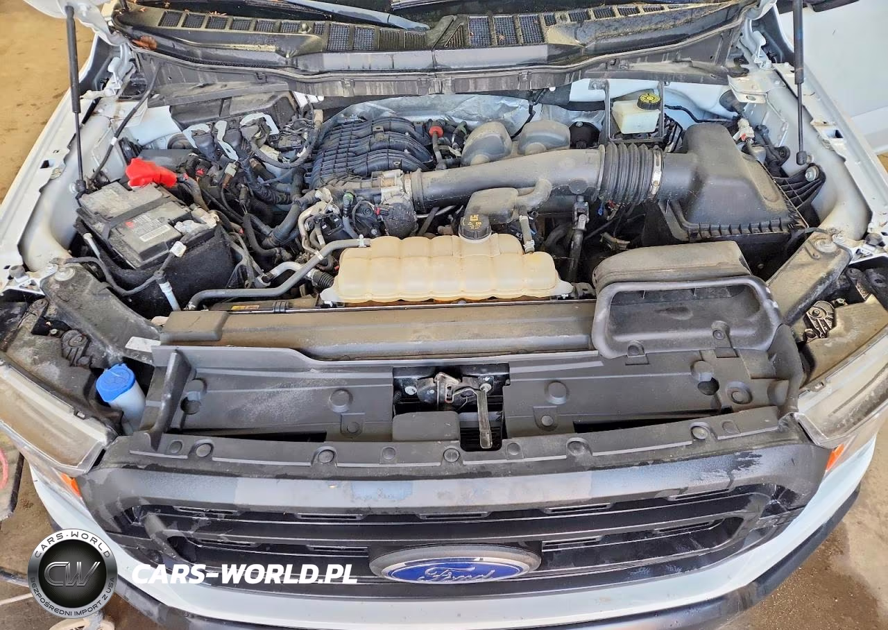 2022 Ford F150 VIN:1FTMF1EBXNKD82596 - 11