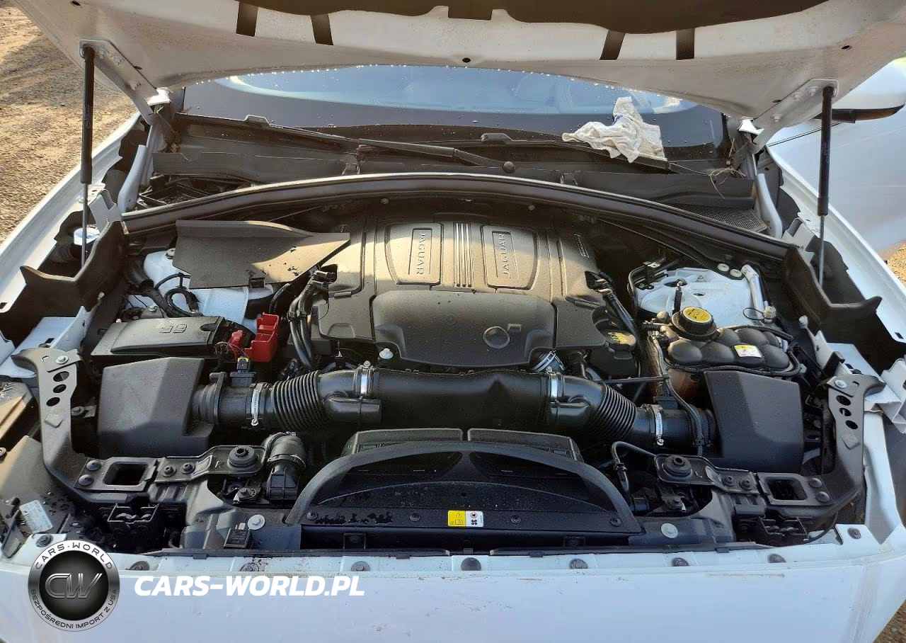 2019 Jaguar F-Pace S VIN:SADCM2FV8KA607040 - 12