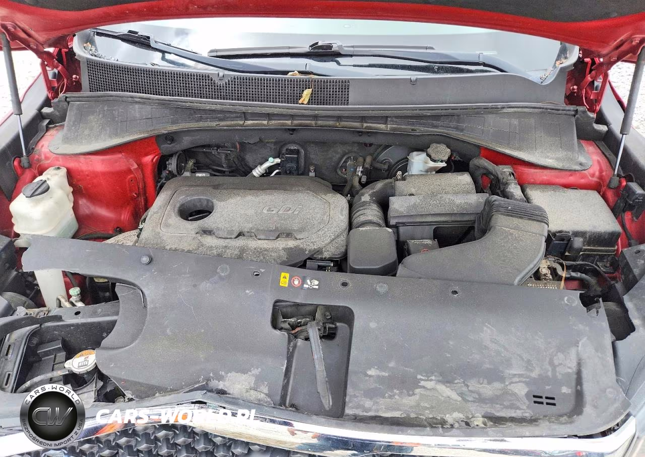 2017 Kia Sorento Lx VIN:5XYPGDA39HG243824 - 12