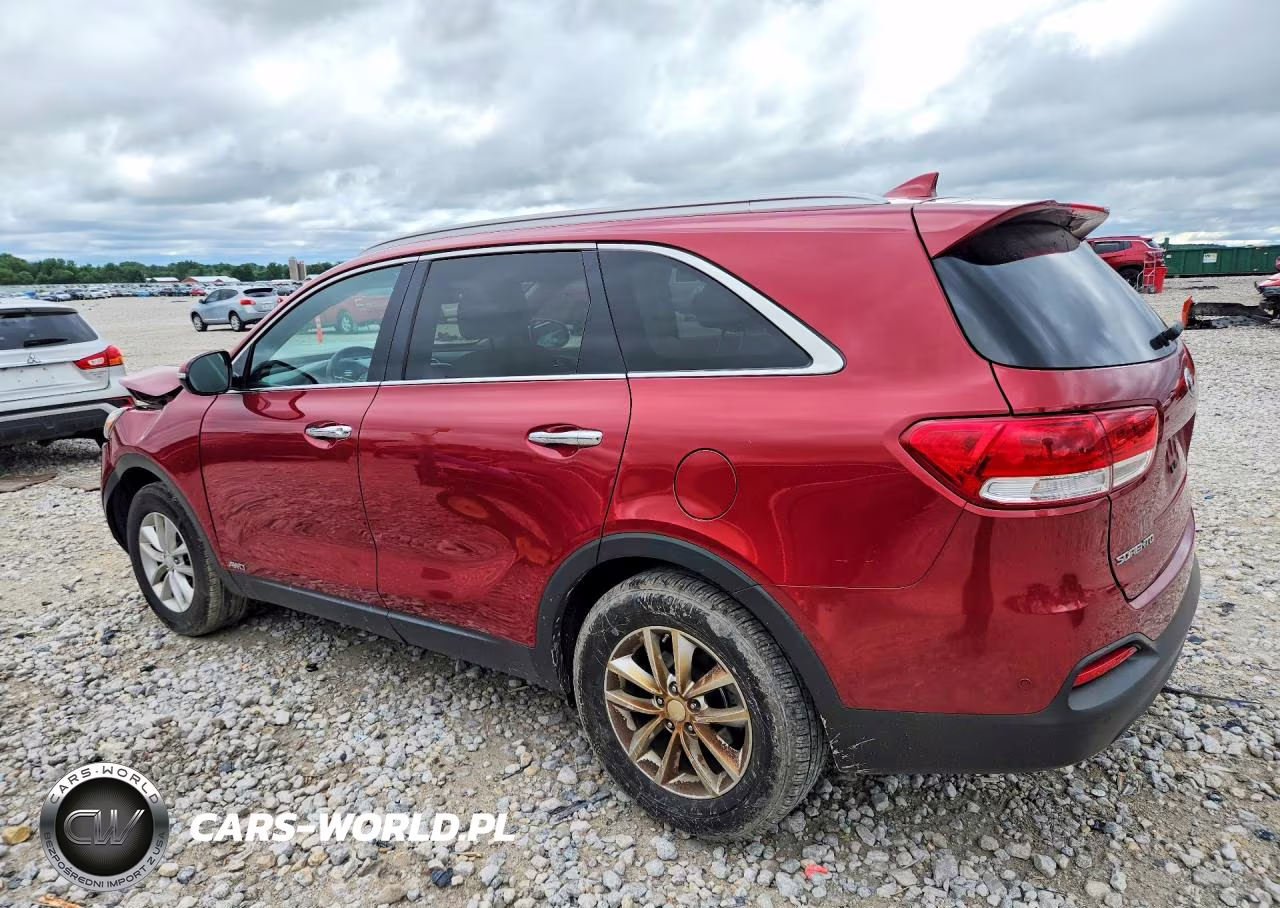 2017 Kia Sorento Lx VIN:5XYPGDA39HG243824 - 2
