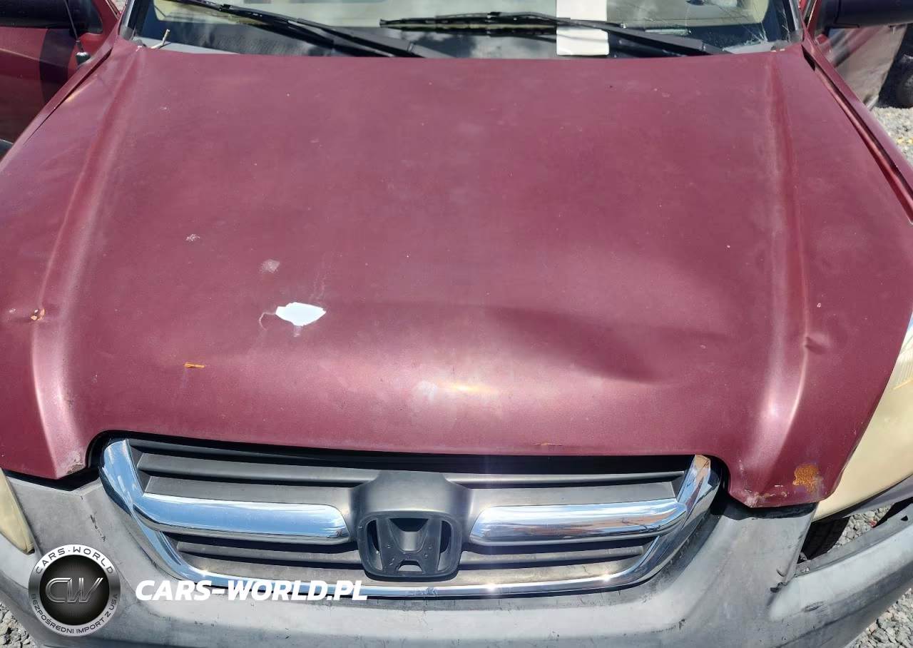 2004 Honda Cr-V Lx VIN:JHLRD68564C016774 - 11