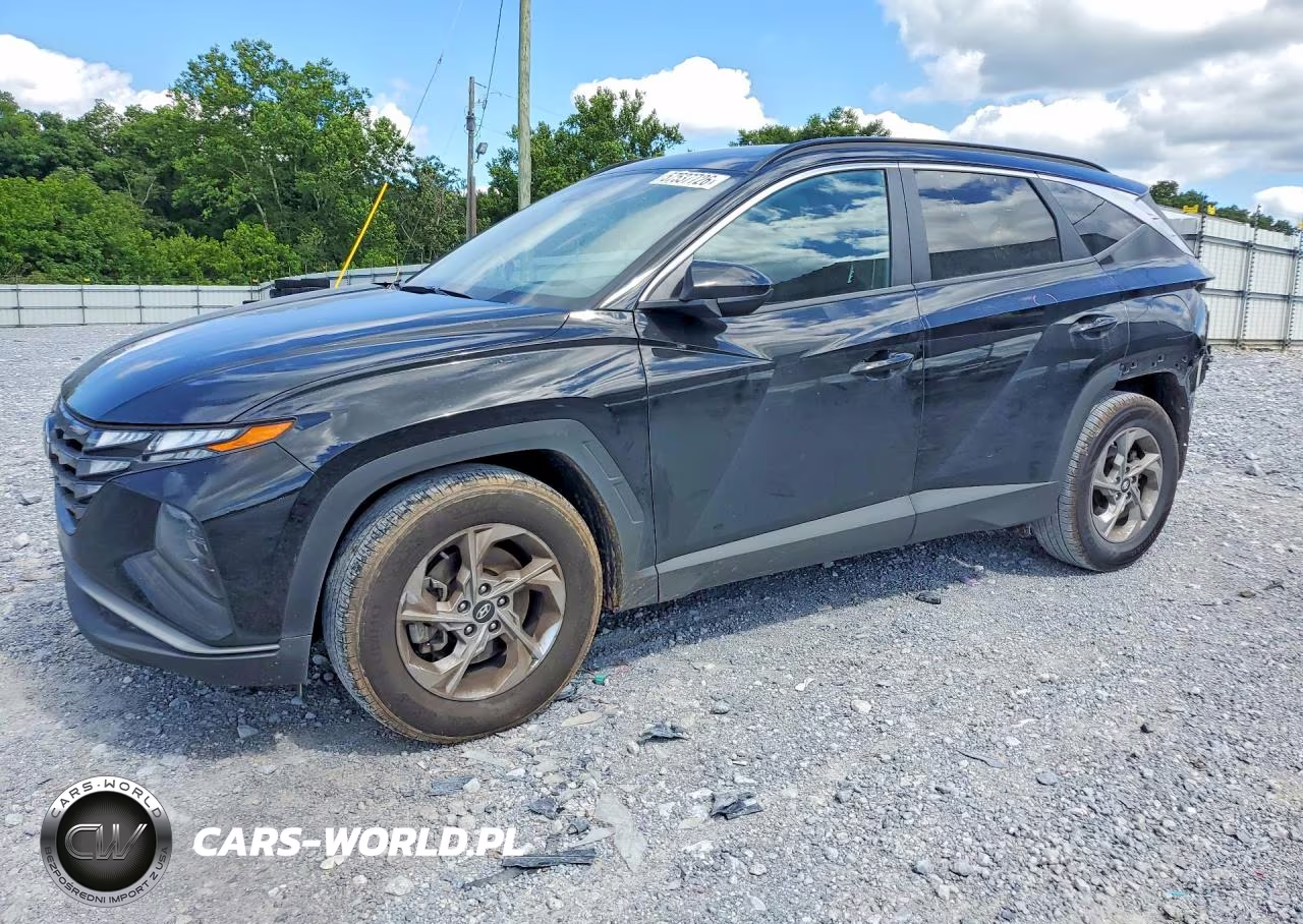 2024 Hyundai Tucson Sel VIN:5NMJB3DE8RH302882 - 1