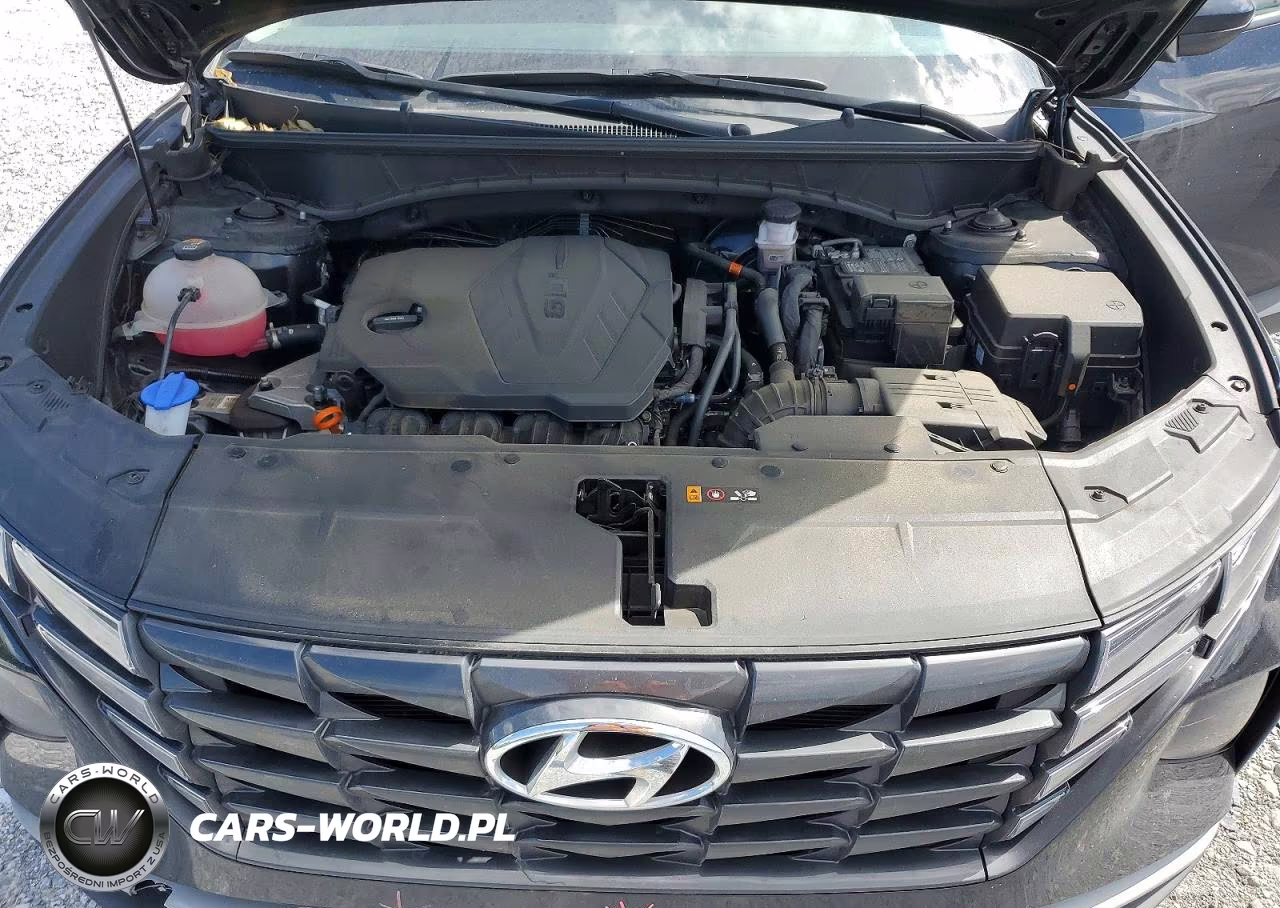 2024 Hyundai Tucson Sel VIN:5NMJB3DE8RH302882 - 11