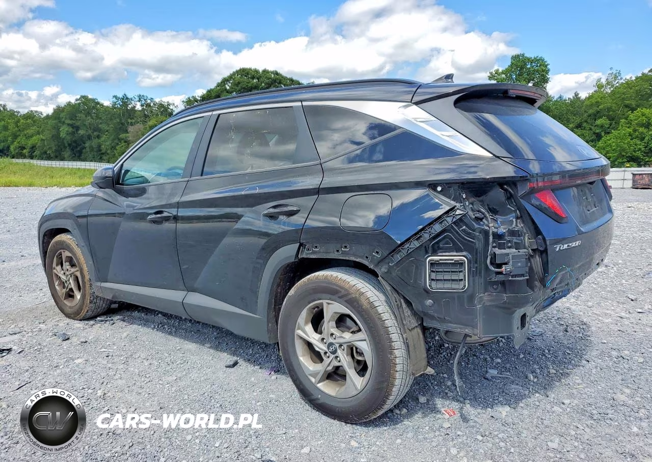 2024 Hyundai Tucson Sel VIN:5NMJB3DE8RH302882 - 2