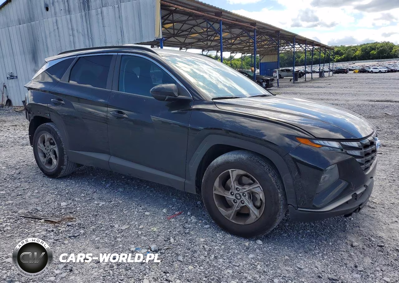 2024 Hyundai Tucson Sel VIN:5NMJB3DE8RH302882 - 4