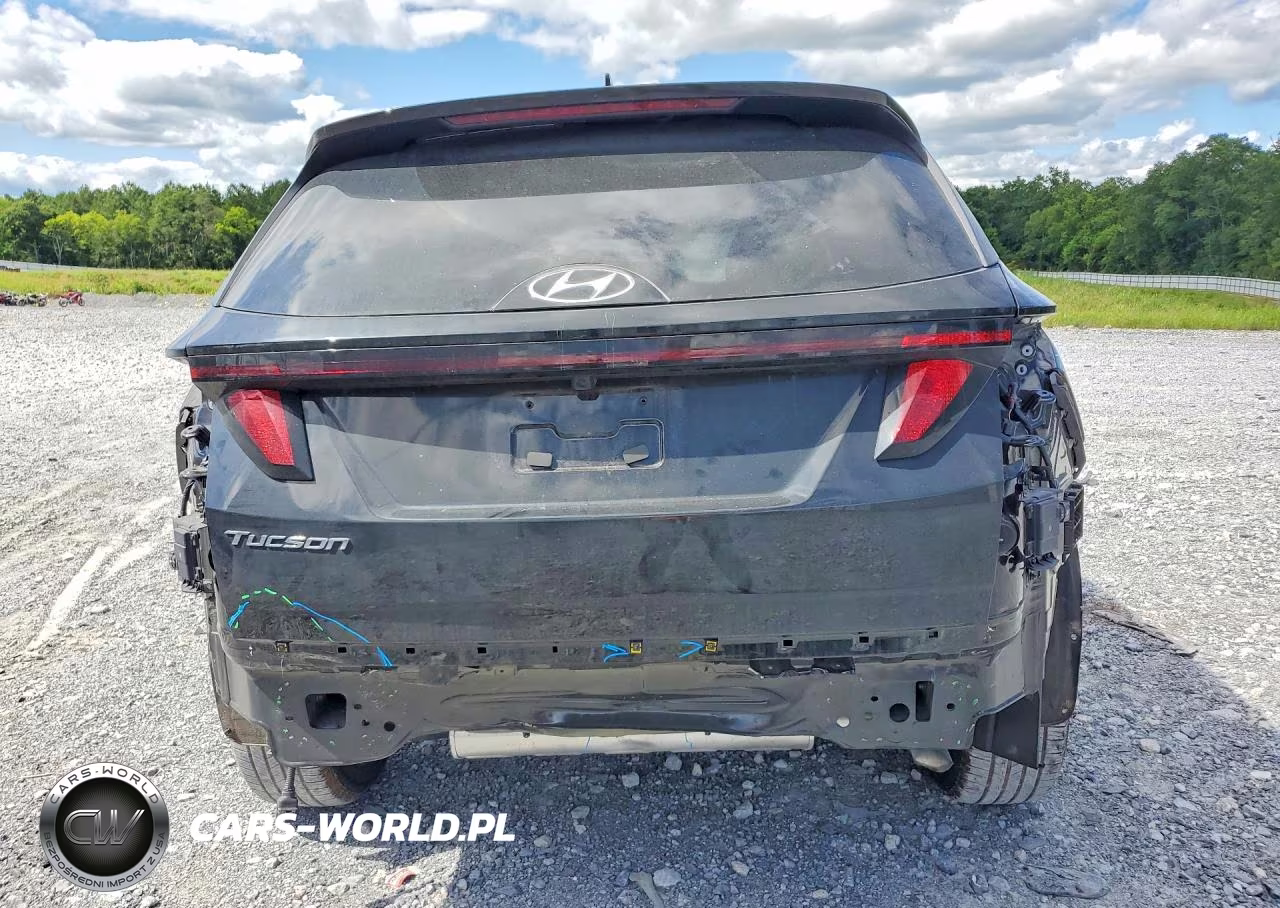 2024 Hyundai Tucson Sel VIN:5NMJB3DE8RH302882 - 6