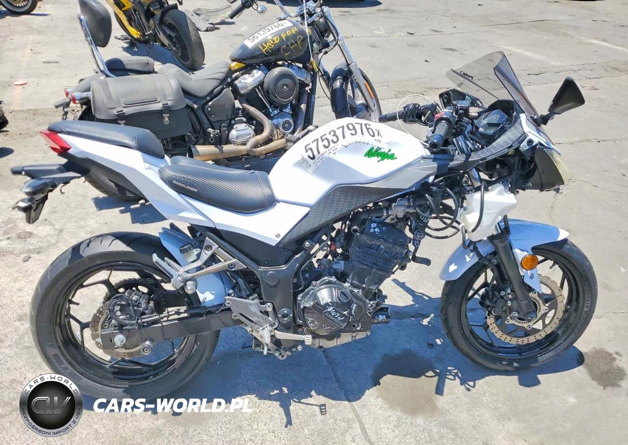 2015 Kawasaki Ex300 B
