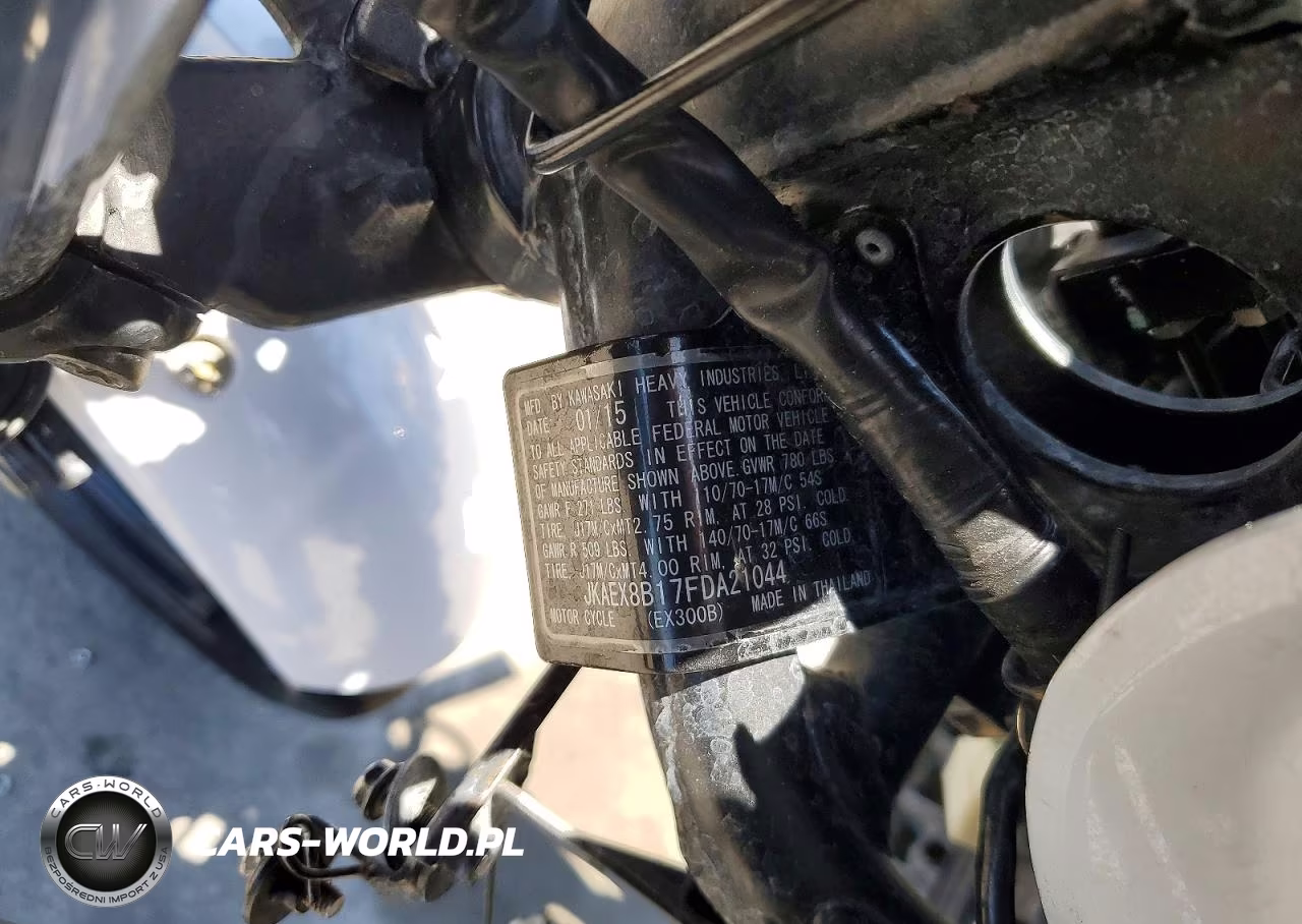 2015 Kawasaki Ex300 B VIN:JKAEX8B17FDA21044 - 10