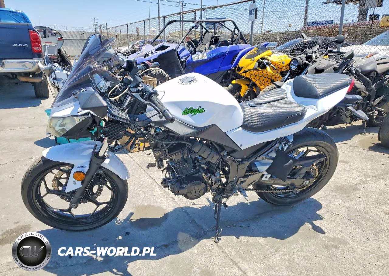 2015 Kawasaki Ex300 B VIN:JKAEX8B17FDA21044 - 3