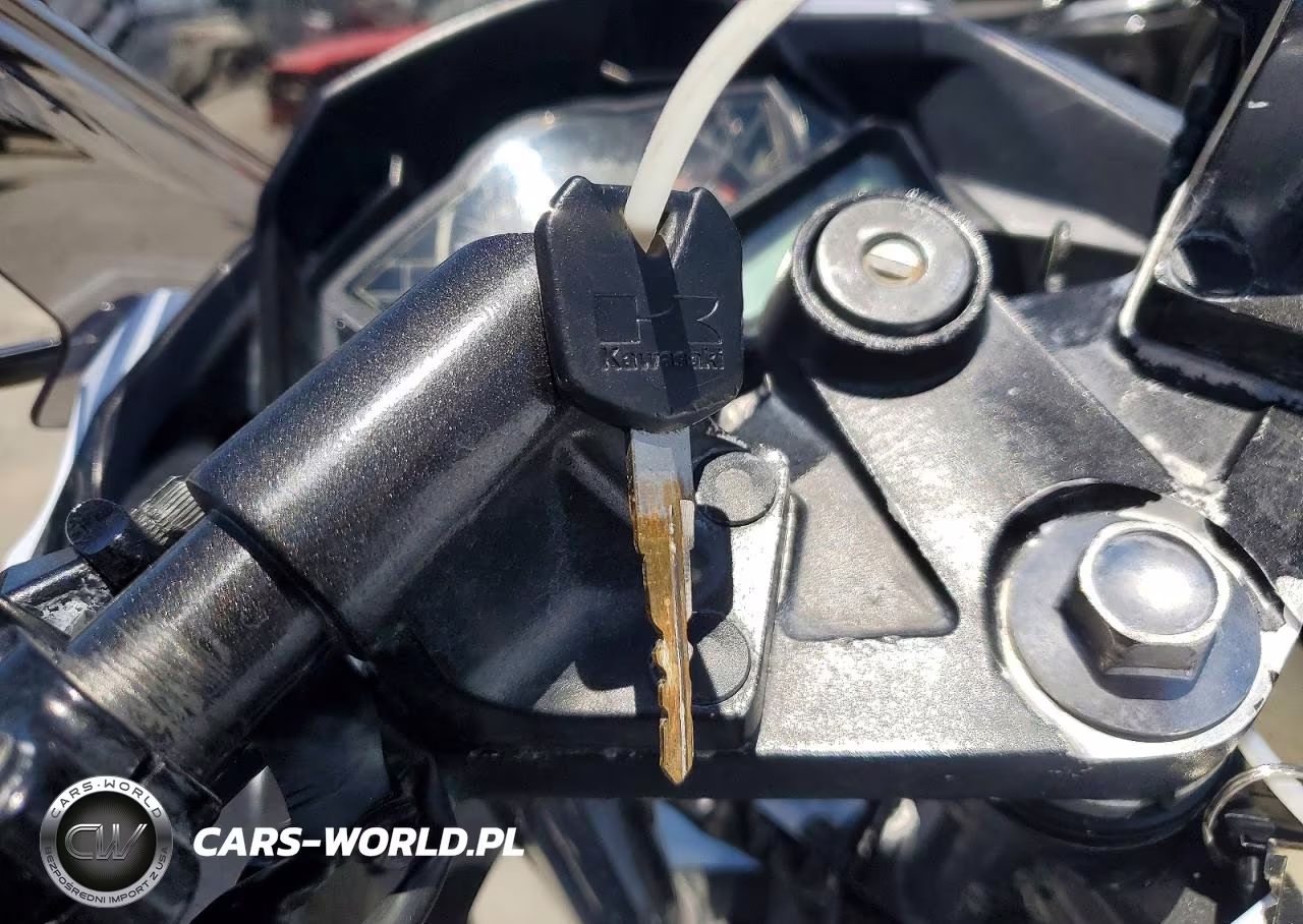 2015 Kawasaki Ex300 B VIN:JKAEX8B17FDA21044 - 8