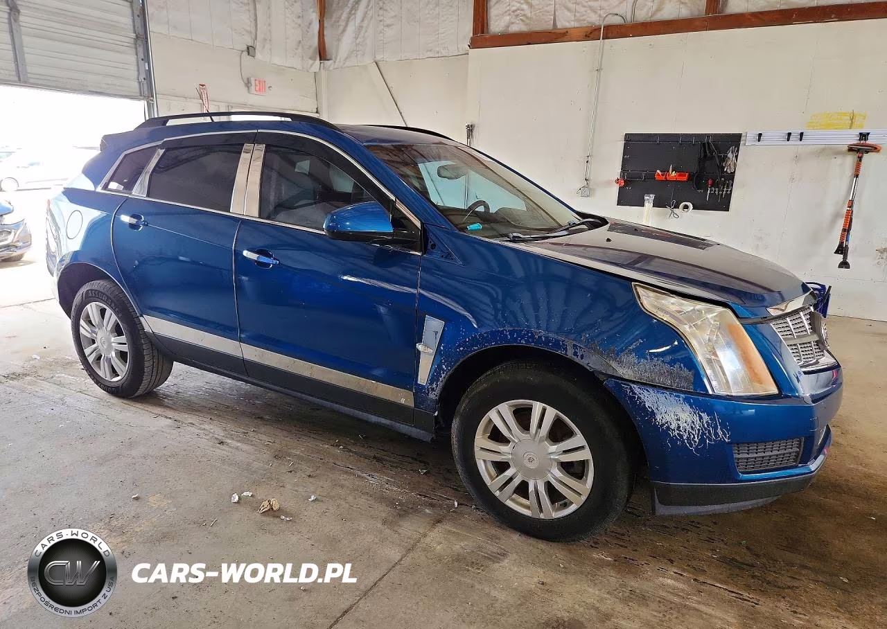 2010 Cadillac Srx VIN:3GYFNGEY1AS589695 - 4