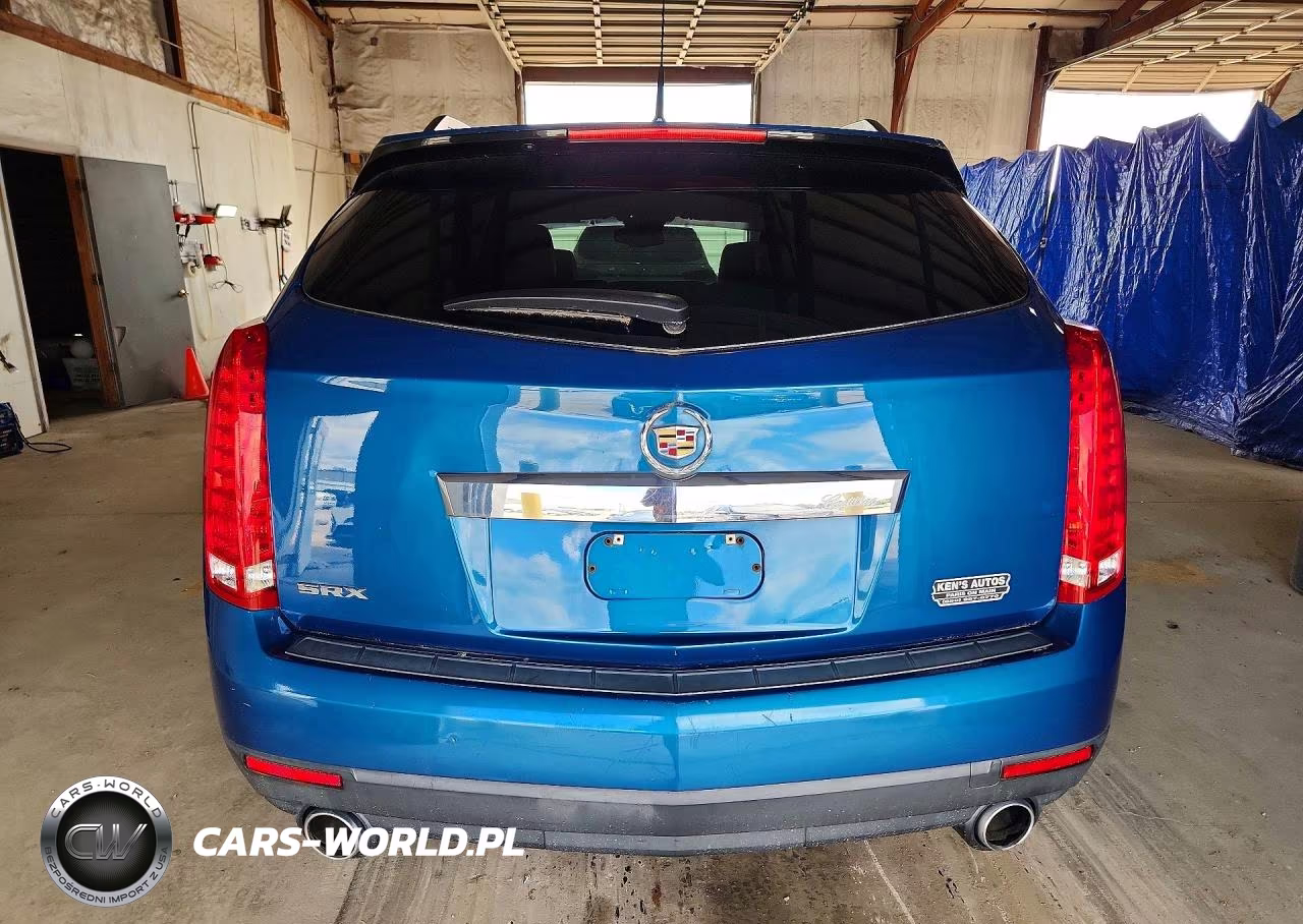 2010 Cadillac Srx VIN:3GYFNGEY1AS589695 - 6